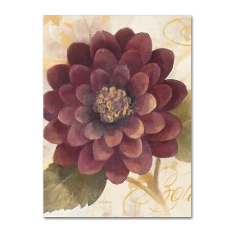 Trademark Fine Art Albena Hristova 'Abundant Floral II Crop' Canvas Art, 14x19 WAP01393-C1419GG